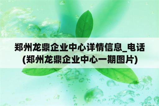 郑州龙鼎企业中心详情信息_电话(郑州龙鼎企业中心一期图片)