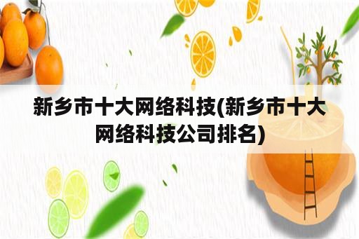 新乡市十大网络科技(新乡市十大网络科技公司排名)