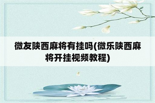 微友陕西麻将有挂吗(微乐陕西麻将开挂视频教程)