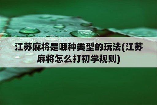 江苏麻将是哪种类型的玩法(江苏麻将怎么打初学规则)