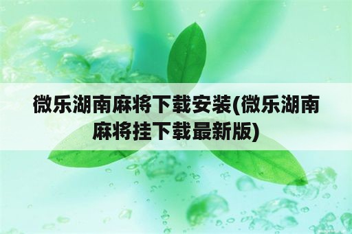 微乐湖南麻将下载安装(微乐湖南麻将挂下载最新版)