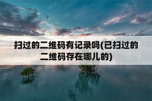 扫过的二维码有记录吗(已扫过的二维码存在哪儿的)