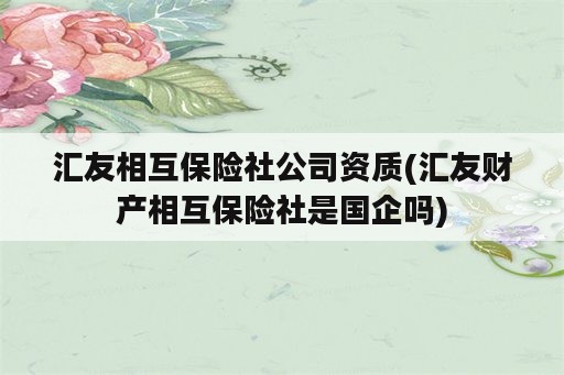 汇友相互保险社公司资质(汇友财产相互保险社是国企吗)