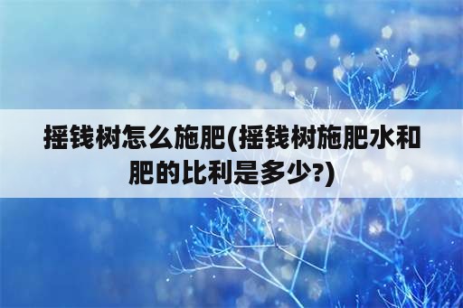 摇钱树怎么施肥(摇钱树施肥水和肥的比利是多少?)