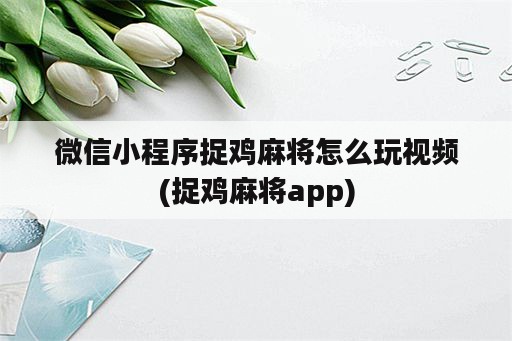 微信小程序捉鸡麻将怎么玩视频(捉鸡麻将app)