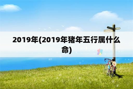 2019年(2019年猪年五行属什么命)