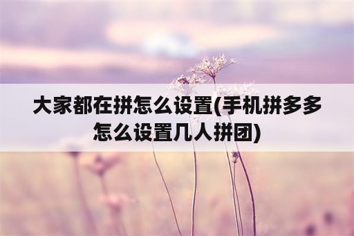 大家都在拼怎么设置(手机拼多多怎么设置几人拼团)