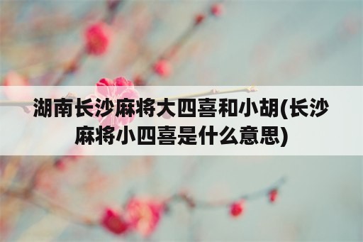 湖南长沙麻将大四喜和小胡(长沙麻将小四喜是什么意思)