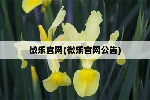 微乐官网(微乐官网公告)