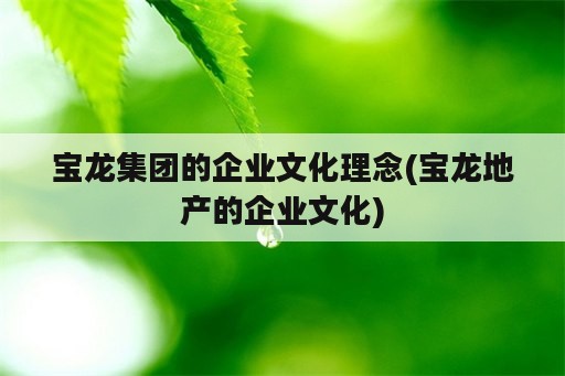 宝龙集团的企业文化理念(宝龙地产的企业文化)