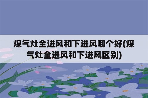 煤气灶全进风和下进风哪个好(煤气灶全进风和下进风区别)