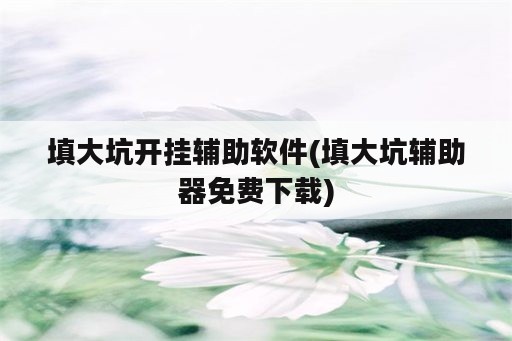 填大坑开挂辅助软件(填大坑辅助器免费下载)