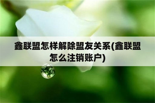 鑫联盟怎样解除盟友关系(鑫联盟怎么注销账户)