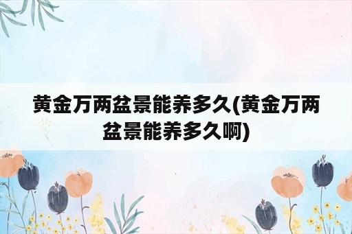 黄金万两盆景能养多久(黄金万两盆景能养多久啊)