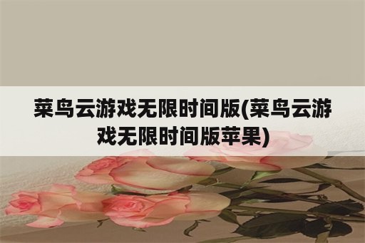 菜鸟云游戏无限时间版(菜鸟云游戏无限时间版苹果)