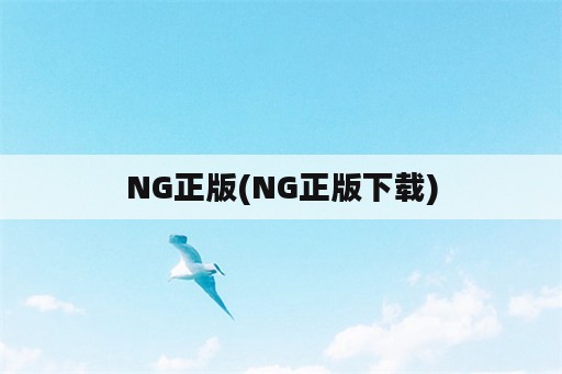 NG正版(NG正版下载)