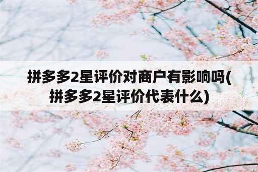 拼多多2星评价对商户有影响吗(拼多多2星评价代表什么)