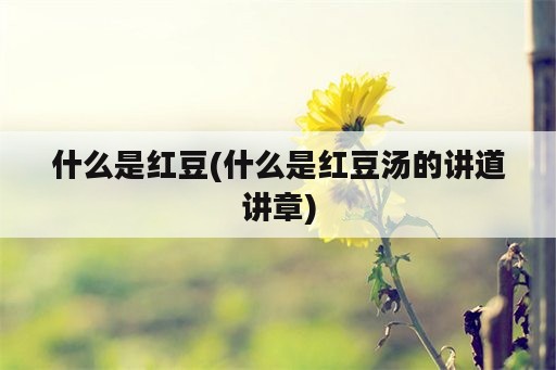 什么是红豆(什么是红豆汤的讲道讲章)