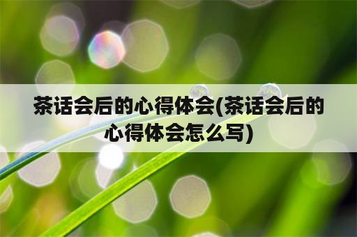 茶话会后的心得体会(茶话会后的心得体会怎么写)