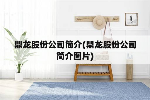 鼎龙股份公司简介(鼎龙股份公司简介图片)