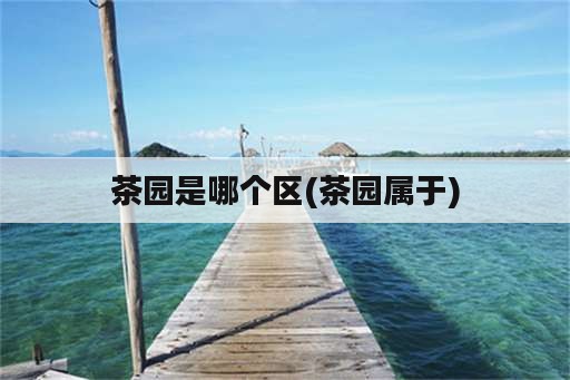 茶园是哪个区(茶园属于)