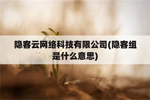 隐客云网络科技有限公司(隐客组是什么意思)