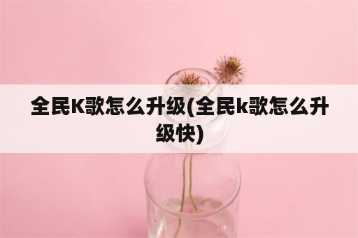 全民K歌怎么升级(全民k歌怎么升级快)