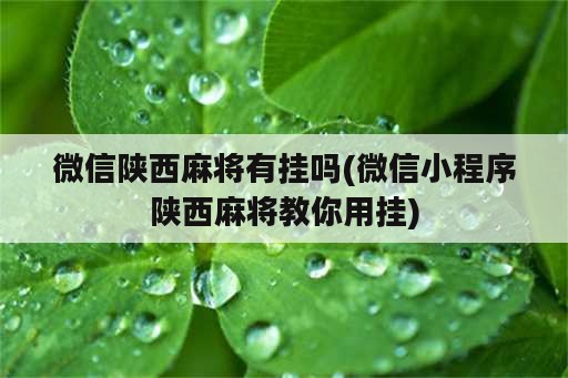 微信陕西麻将有挂吗(微信小程序陕西麻将教你用挂)