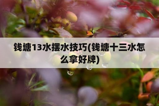 钱塘13水摆水技巧(钱塘十三水怎么拿好牌)