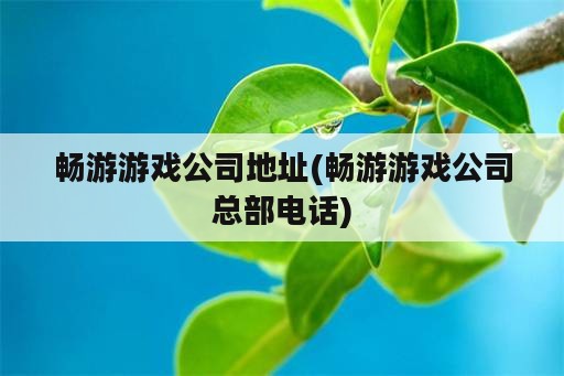 畅游游戏公司地址(畅游游戏公司总部电话)