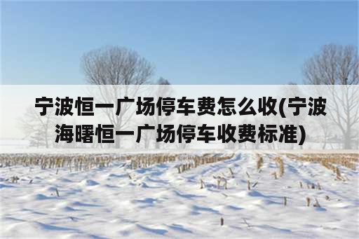 宁波恒一广场停车费怎么收(宁波海曙恒一广场停车收费标准)