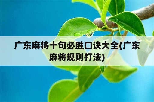 广东麻将十句必胜口诀大全(广东麻将规则打法)