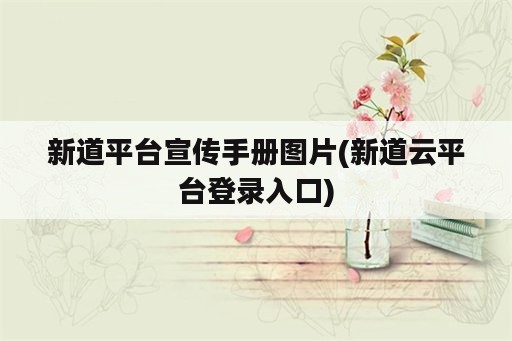 新道平台宣传手册图片(新道云平台登录入口)