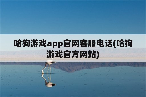 哈狗游戏app官网客服电话(哈狗游戏官方网站)