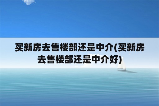 买新房去售楼部还是中介(买新房去售楼部还是中介好)