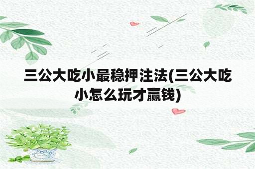 三公大吃小最稳押注法(三公大吃小怎么玩才赢钱)