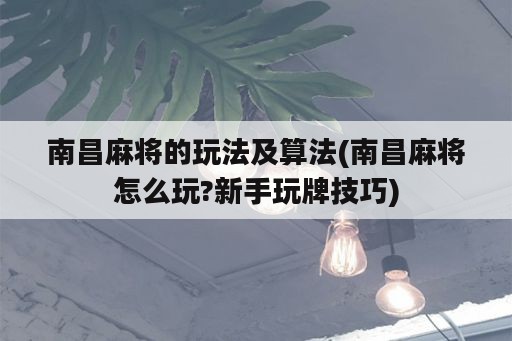 南昌麻将的玩法及算法(南昌麻将怎么玩?新手玩牌技巧)