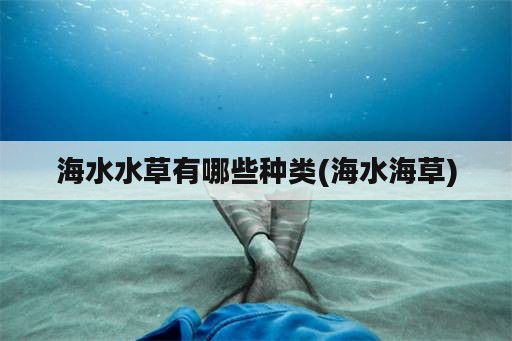 海水水草有哪些种类(海水海草)