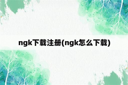 ngk下载注册(ngk怎么下载)