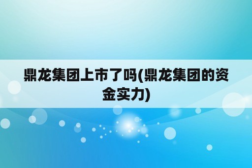 鼎龙集团上市了吗(鼎龙集团的资金实力)