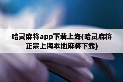 哈灵麻将app下载上海(哈灵麻将正宗上海本地麻将下载)