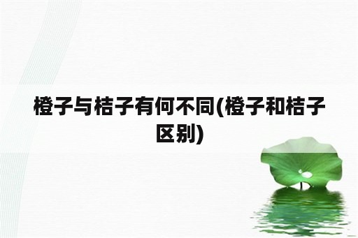 橙子与桔子有何不同(橙子和桔子区别)