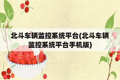 北斗车辆监控系统平台(北斗车辆监控系统平台手机版)