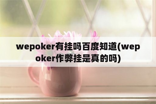 wepoker有挂吗百度知道(wepoker作弊挂是真的吗)