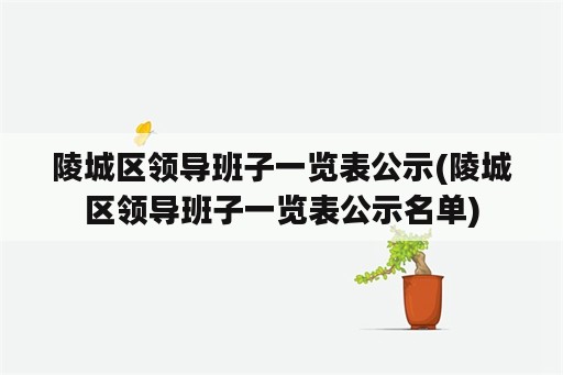 陵城区领导班子一览表公示(陵城区领导班子一览表公示名单)