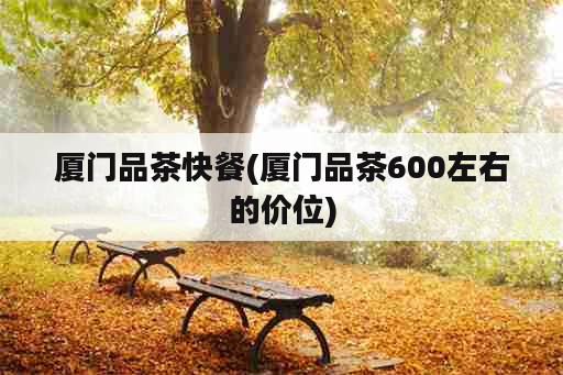 厦门品茶快餐(厦门品茶600左右的价位)