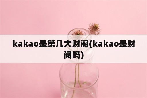 kakao是第几大财阀(kakao是财阀吗)