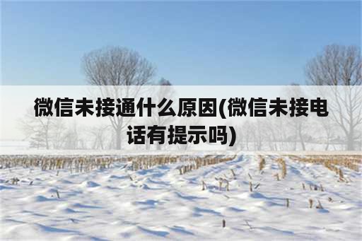 微信未接通什么原因(微信未接电话有提示吗)