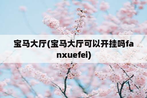 宝马大厅(宝马大厅可以开挂吗fanxuefei)