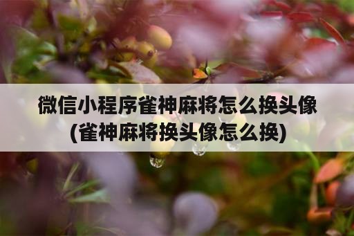 微信小程序雀神麻将怎么换头像(雀神麻将换头像怎么换)